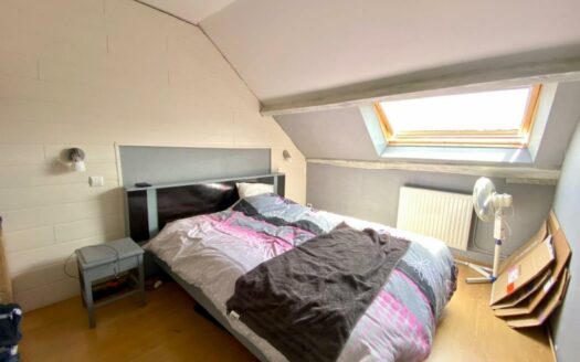 Maison 3 Chambres Plein Centre Avec Jardin