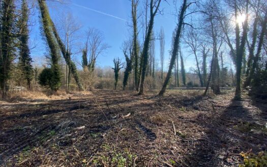 Vends Terrain Constructible à Mereville/saclas