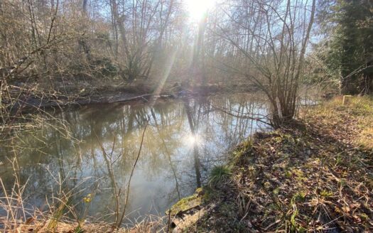 Vends Terrain Constructible à Mereville/saclas