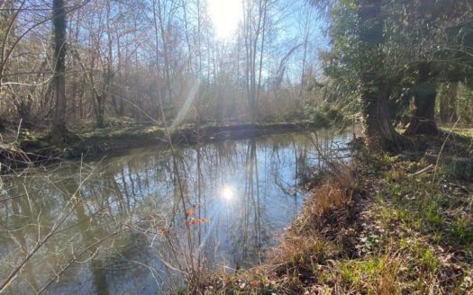 Vends Terrain Constructible à Mereville/saclas